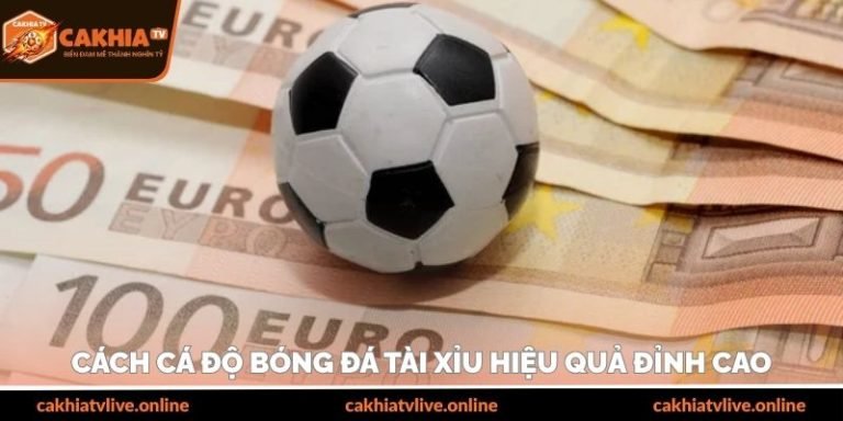 Cách cá độ bóng đá tài xỉu hiệu quả cực dễ cho hội viên