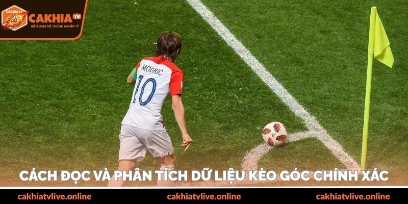 Cách đọc và phân tích dữ liệu kèo góc chính xác