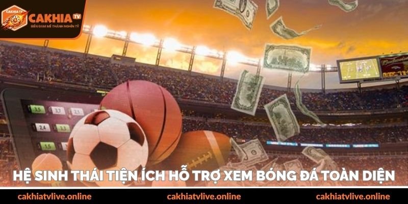 Hệ sinh thái tiện ích hỗ trợ xem bóng đá toàn diện