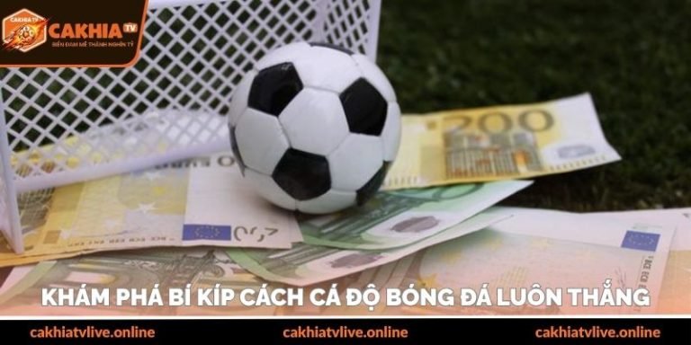 Khám phá bí kíp cách cá độ bóng đá luôn thắng đỉnh cao