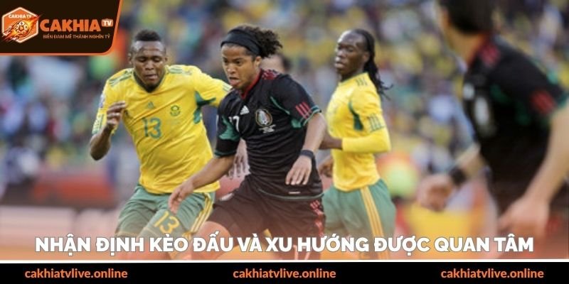 Nhận định kèo đấu và xu hướng được quan tâm