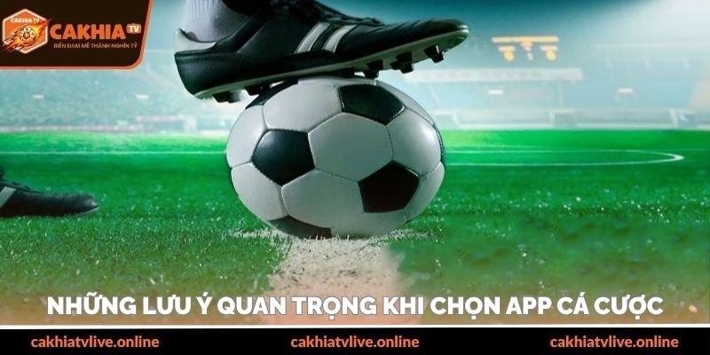 Những lưu ý quan trọng khi chọn app cá cược