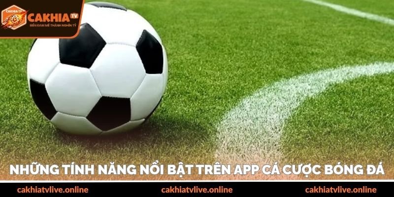 Những tính năng nổi bật trên app cá cược bóng đá