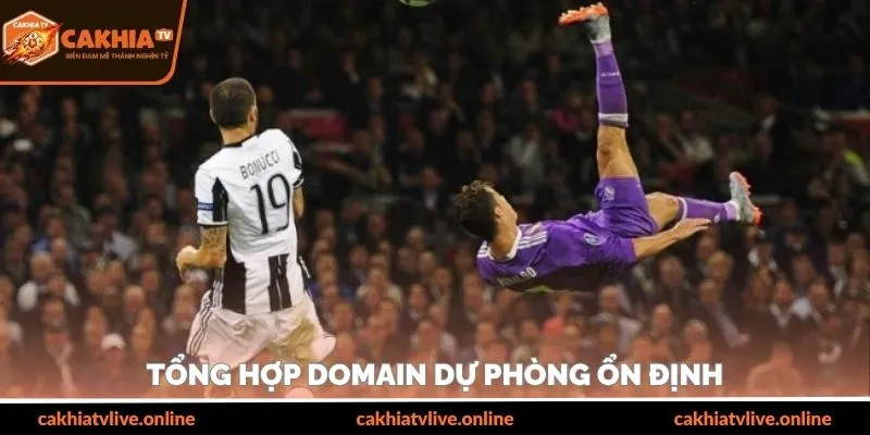 Tổng hợp domain dự ph&ograve;ng ổn định