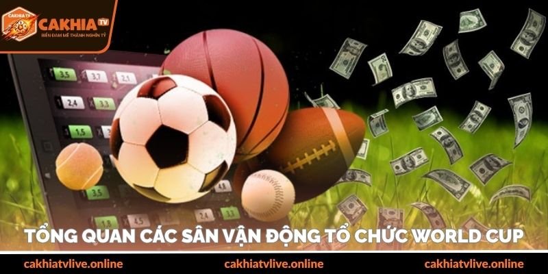 Tổng quan các sân vận động tổ chức World Cup 2026