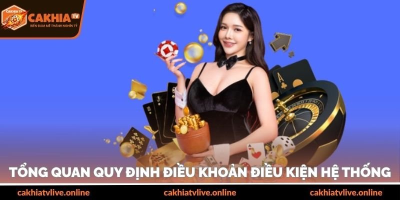 Tổng quan quy định điều khoản điều kiện hệ thống