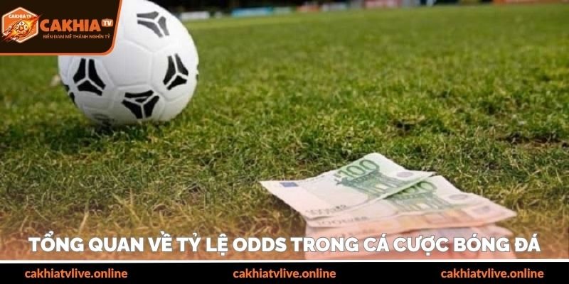 Tổng quan về tỷ lệ odds trong cá cược bóng đá
